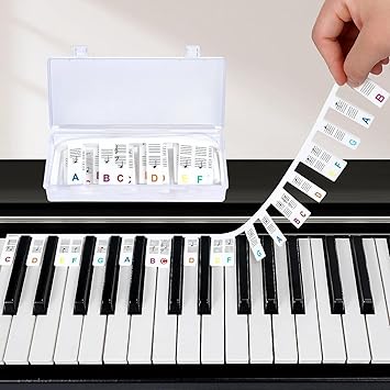 DIANZHU Removable Piano Keyboard Note Labels For 88 Keys No Paste Required, Reusable Piano Notes Guide Easy to Install (Colorful)