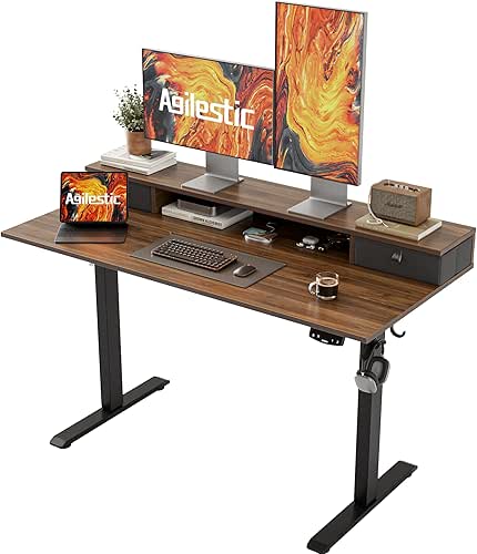 Agilestic 48 x 24 Inches Electric Standing Desk with 2