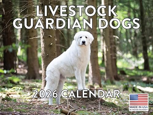 Vista 369 de Calendario Goldendoodle 2026 Golden Doodle mensual de pared calendario de 12 meses Fabricado en Estados Unidos