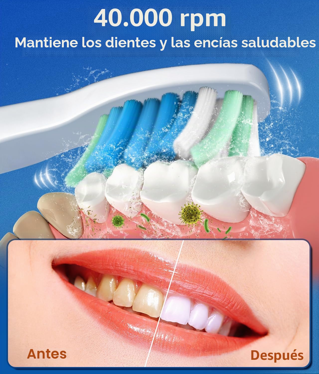 Demita Cepillo de Dientes Eléctrico Sónico, 8 Cabezales 5 Modos | Cepillo sónico con 40000 VPM, 5 modos, carga rápida 4h, 30 días autonomía, IPX7, cepillado profundo y blanqueador