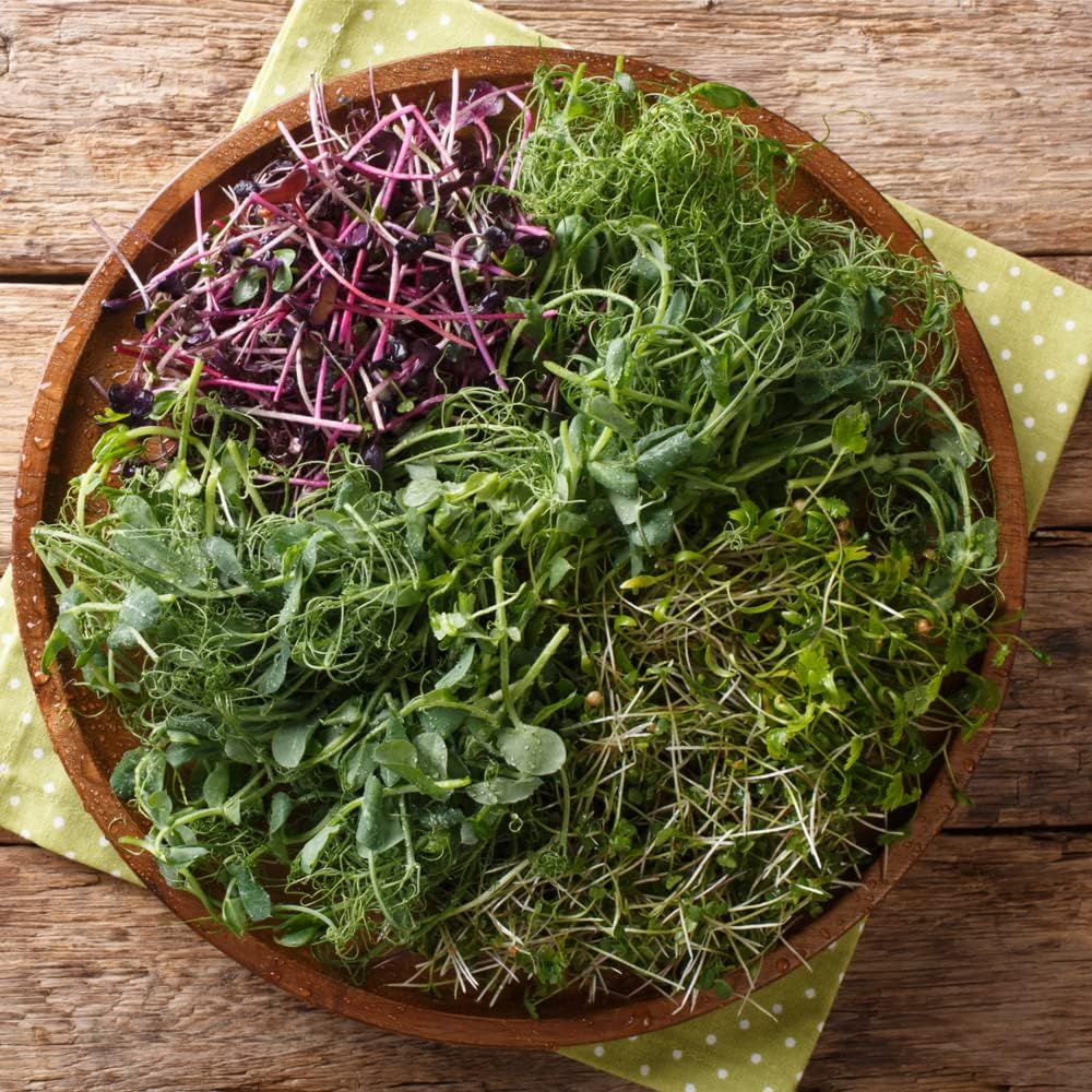 Microgreens Variety Pack (10 Varieties, 2 LBS+, Cabbage, Broccoli, Beet, Radish, Kale, Collard, Mustard, Arugula, Mizuna, Kohlrabi