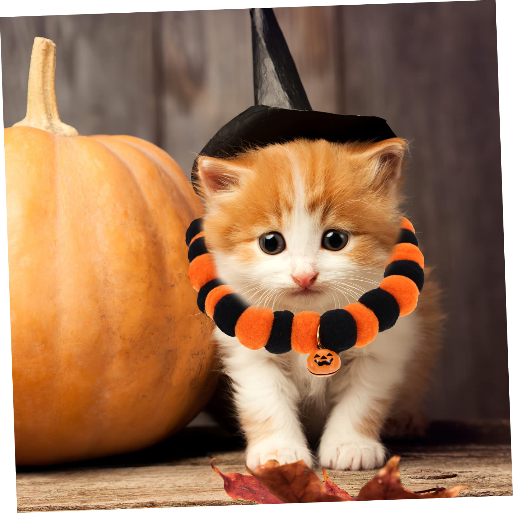 BESPORTBLE 10stücke Verstellbares Katzenhalsband Mit Kürbisglocken Bequeme Dekoration Für Halloween-Partys Weiches Und Sicheres Für Und Kleine Hunde Für Fotoshootings