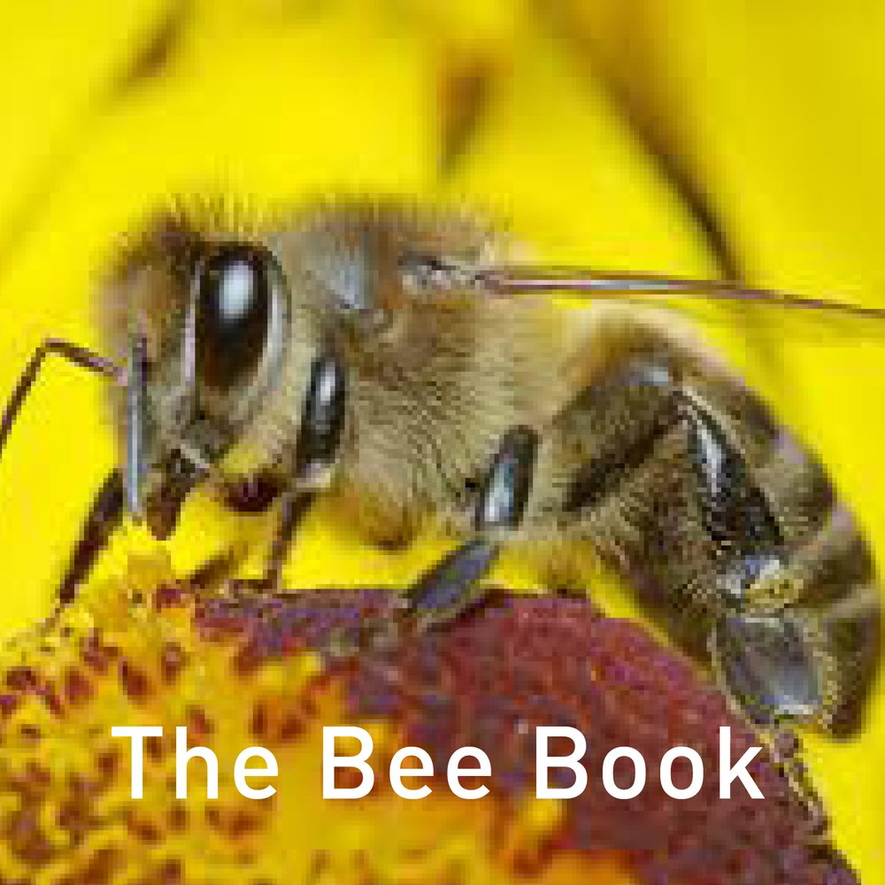 The Bee Book (Nature Book) By Jo Byrne