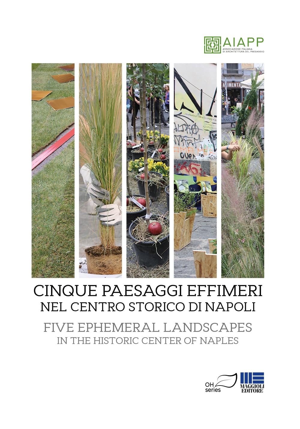 Cinque paesaggi effimeri Napoli livre art photographique paysage italien