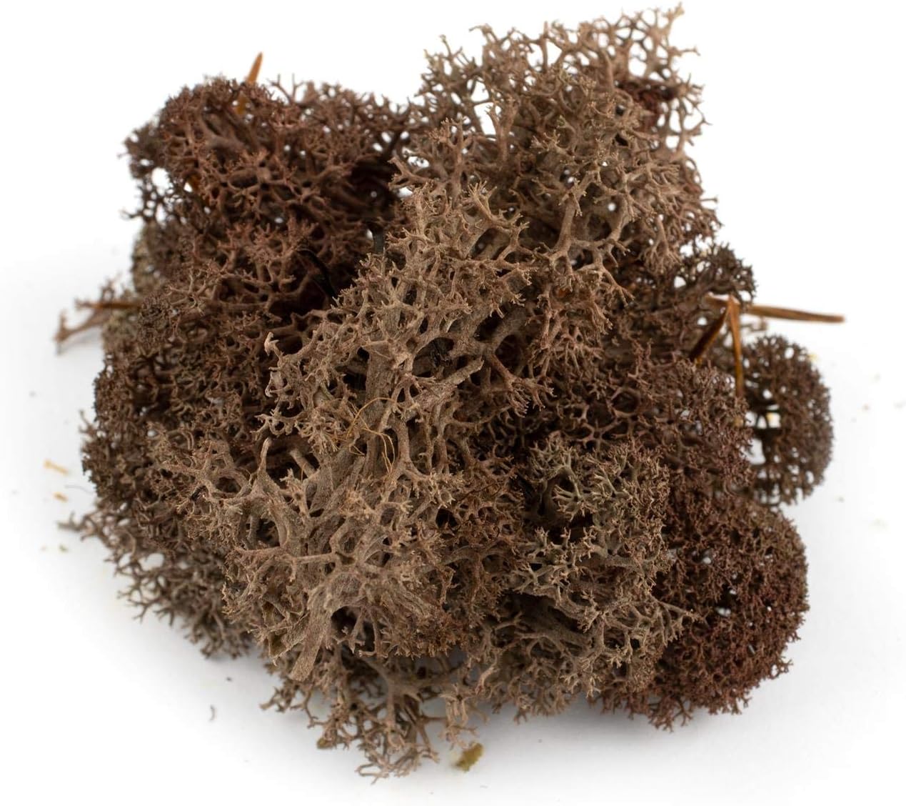 War World Scenics Lichen Moss Model Foliage Multi-Pack 3 x 60g (Light Green, Dark Green, Brown) –Railway Modelling Wargame Basing Scenery Landscape Trees Bushes Hedges Diorama
