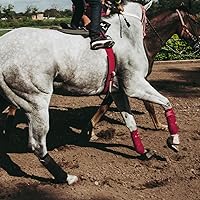 Vista 6 de Juego de 4 envolturas de polo de forro polar suave de 8.2 ft, vendaje de pierna ecuestre (rojo, 8.2 ft)