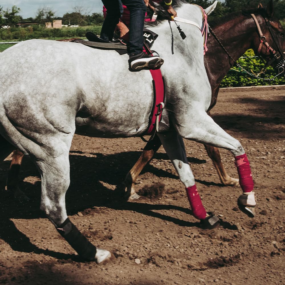 Juego de 4 vendas de polo de forro polar suave para caballos