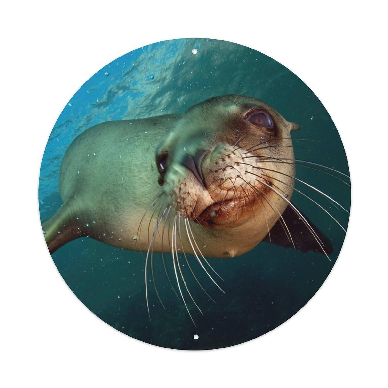 Animal Sea Lion Vintage Metal Tin Sign Plaque Wall Decor for Cafe, Club, Garden Round Metal Poster 8x8Inch