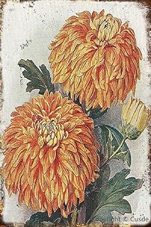 Cusde Vintage Metal Tin Sign 1930s Botanical Original Vintage Print Detro Decor Home Decoration Painting Signs for Home Farm Store Garage Club Bar Kitchen Pub Gift 8x12 Inch