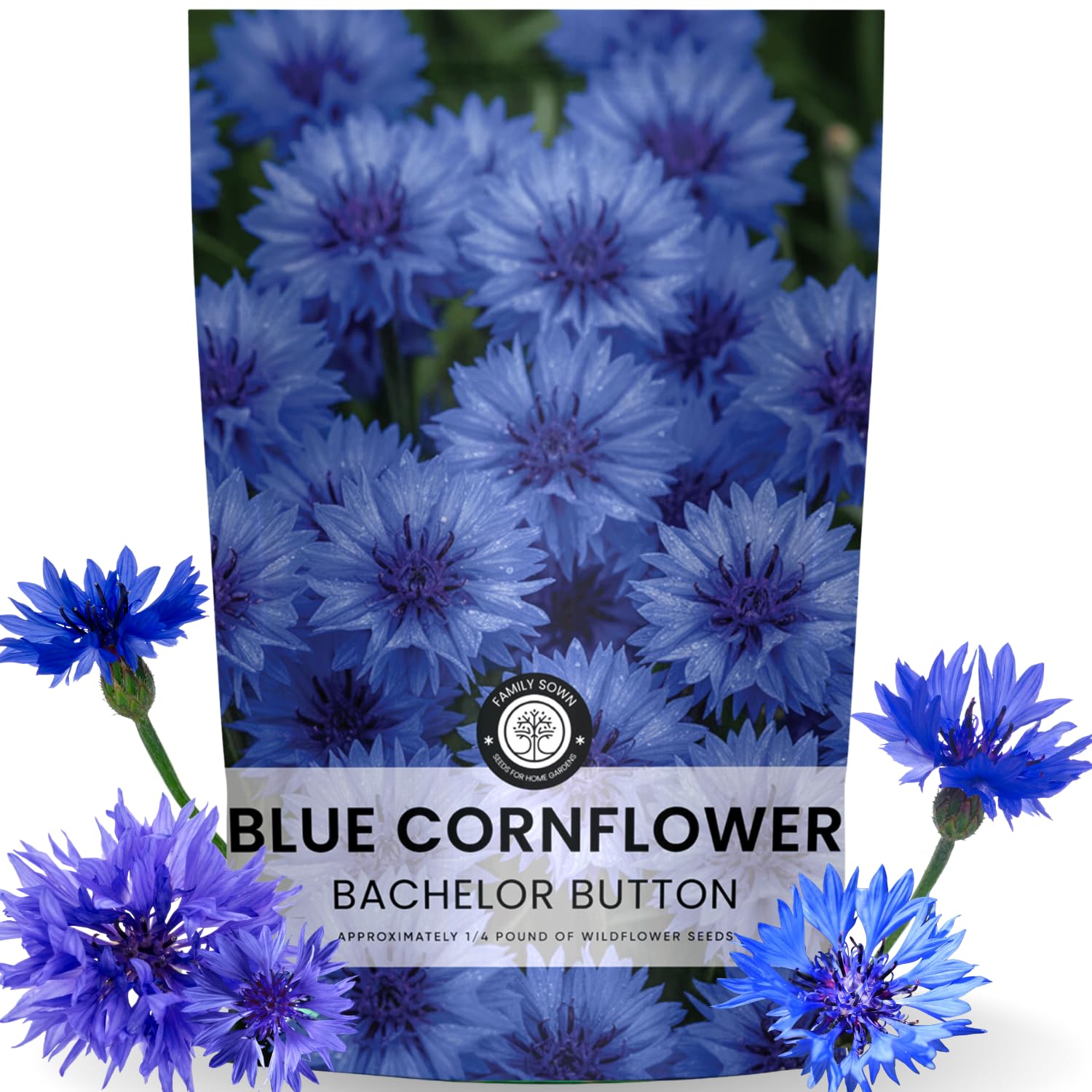 FAMILY SOWN Blue Cornflower