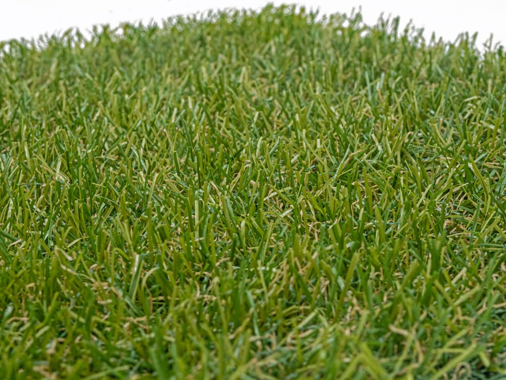 APOLO. 20 mm. Medidas 2 x 5 m. (10 m2). El +Bello.