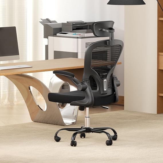 Ergonomic Mesh Office Chair, High Back Computer Desk Chair with Lumbar Support and Flip-Up Arms, Breathable Comfortable Rolling Work Swivel Task Chair for Home Office, Dorm and Study, Black