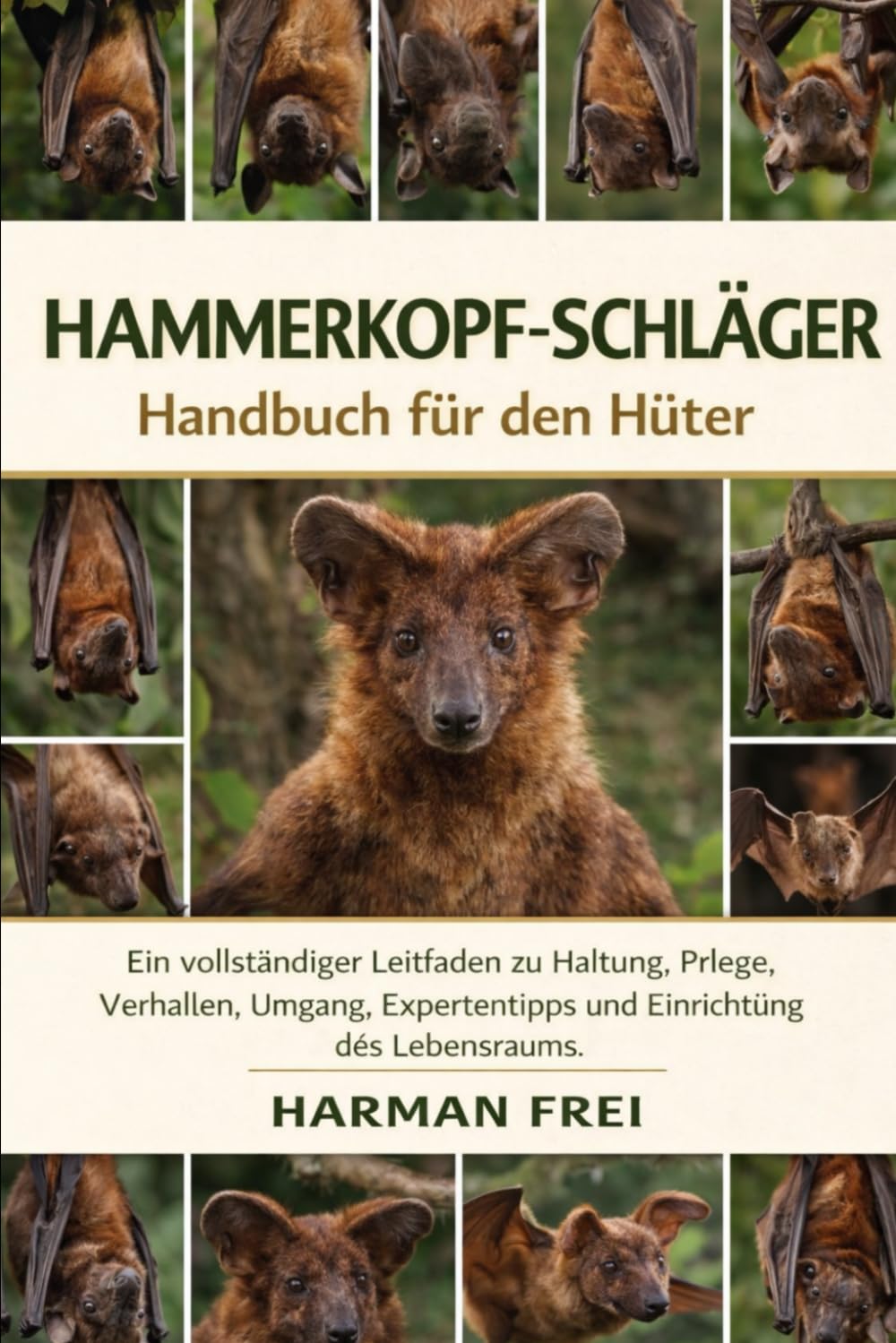 HAMMERKOPF-SCHLÄGER: Ein vollständiger Leitfaden zu Haltung, Pflege, Verhalten, Umgang, Expertentipps und Einrichtung des Lebensraums.