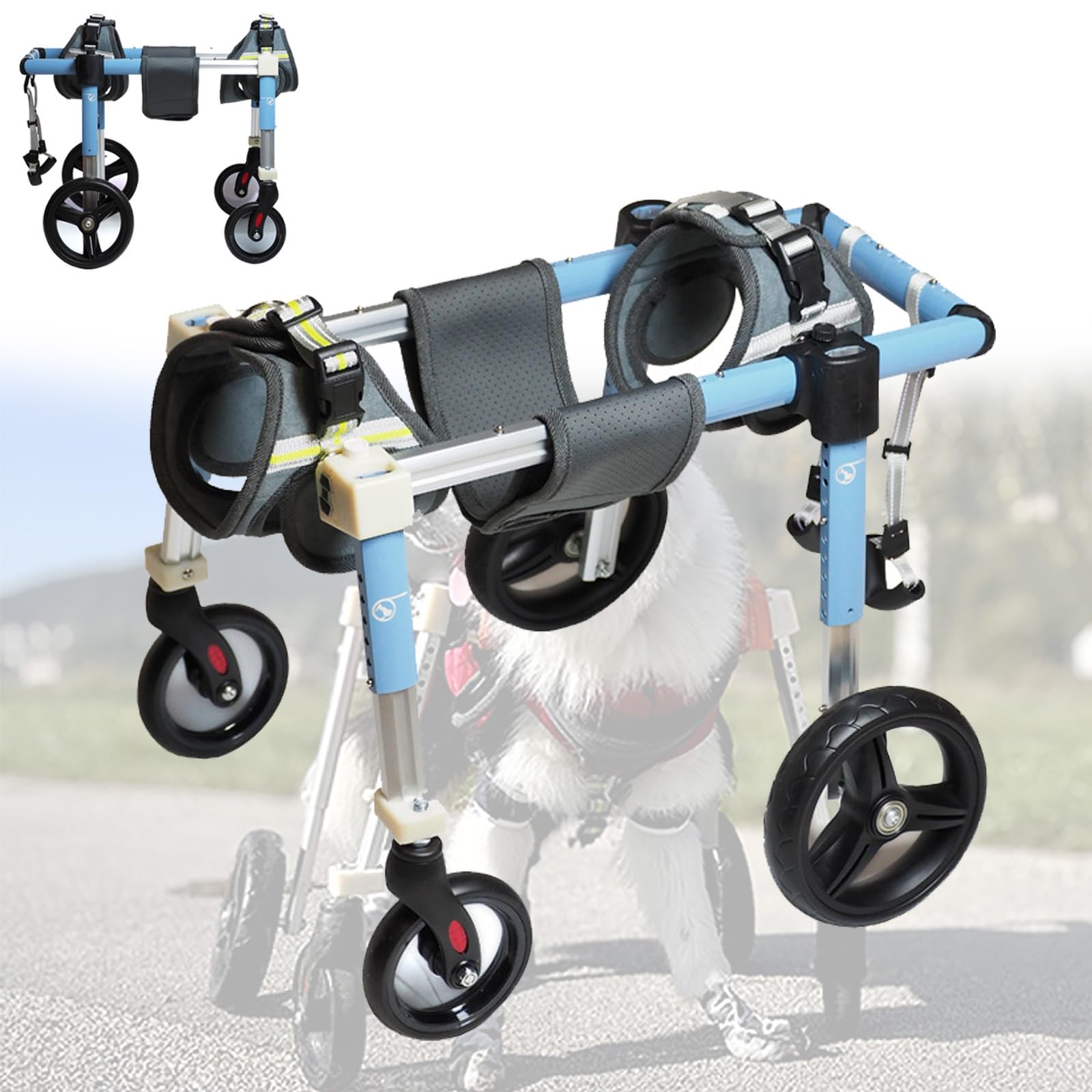 Chariot pour chien paralysé : le fauteuil roulant 4 roues qui change leur vie