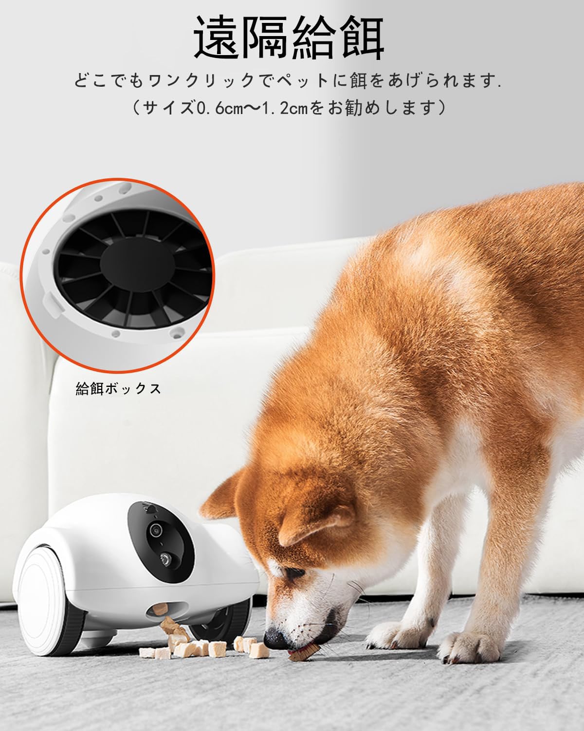 Amazon.co.jp: GULIGULI ペットカメラ Hiibo 部屋全体の中で移動