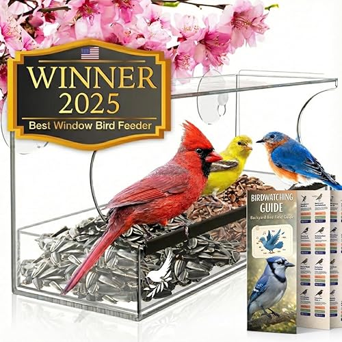 Nature's Hangout Window Bird Feeder with Strong Suction Cups and Seed Tray