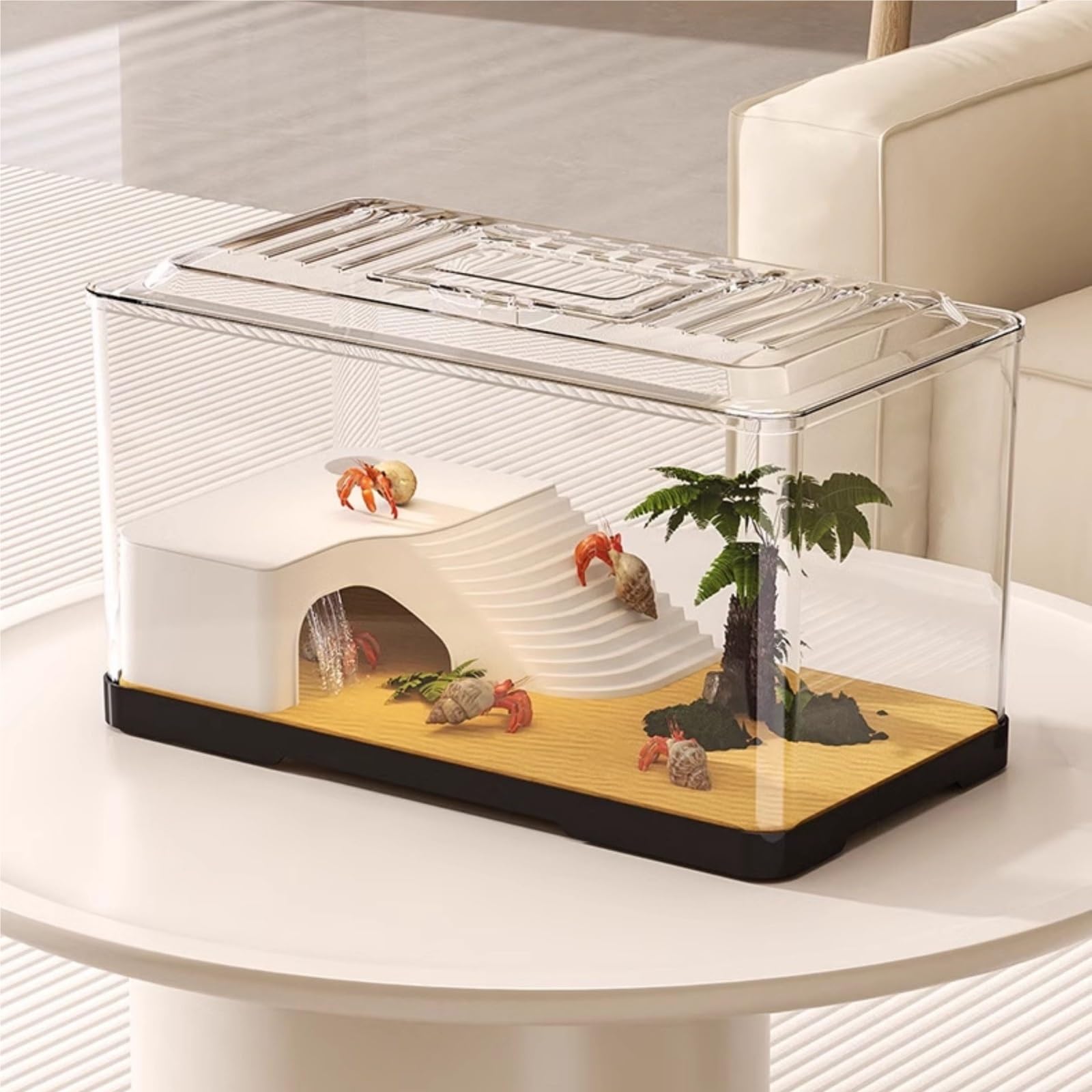 Acuario para Tortugas Tanque de observación Tortugas Transparente: Acuario Escritorio for alimentación y(Grande)