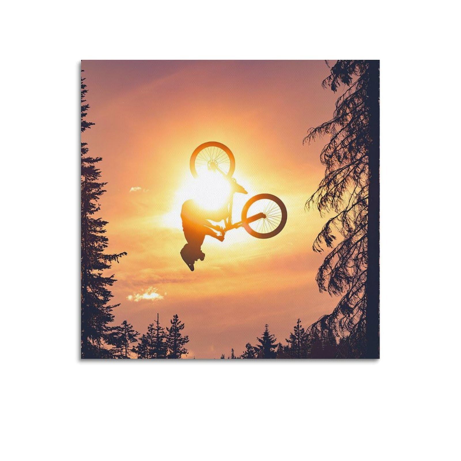 MJZLQN Extreme Sports Poster Jumper Action Adventure Poster Decorative Painting Canvas Wall Posters And Art Picture Print Modern Family Bedroom Decor Posters 28x28inch(70x70cm)