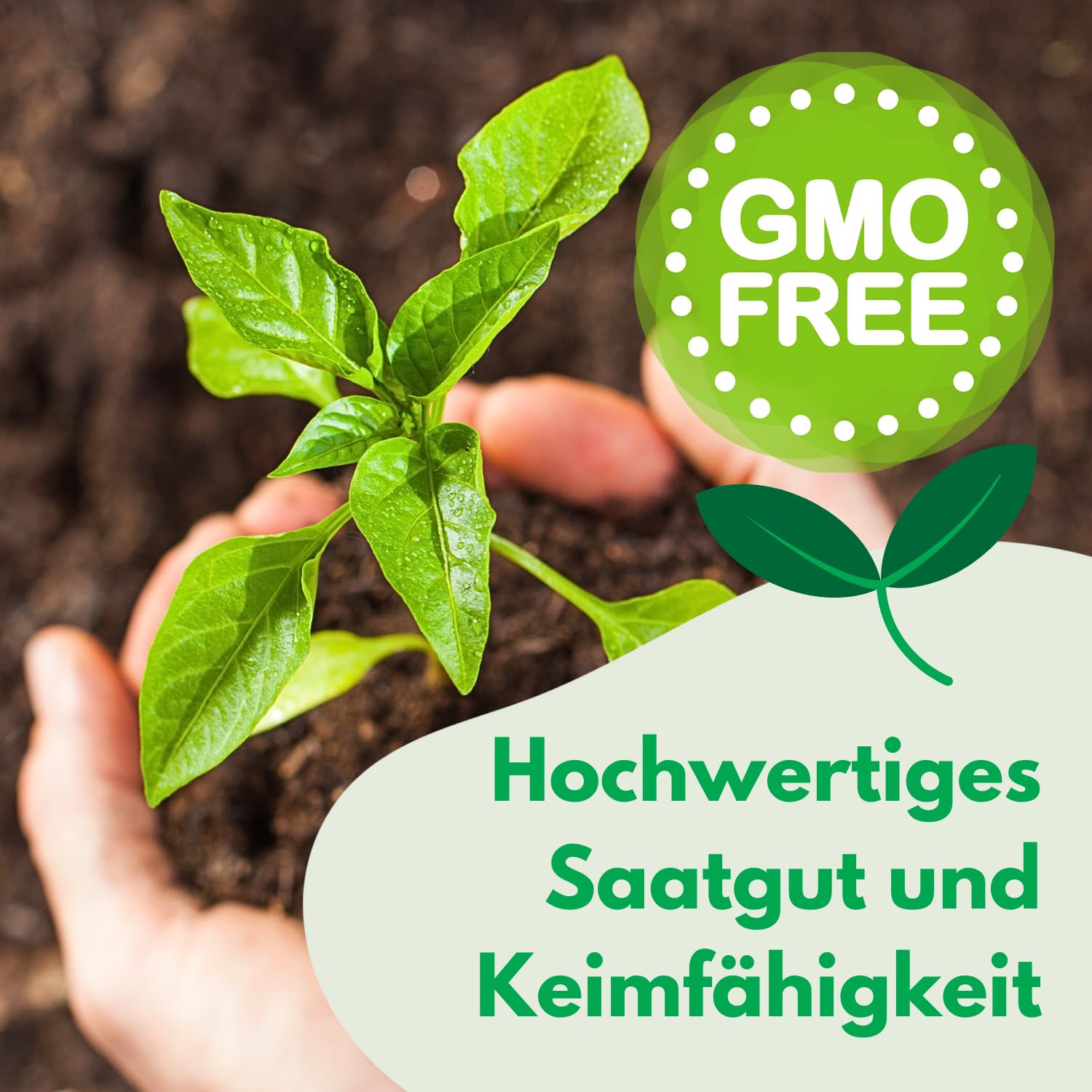 Semi Di Nasturzio Nano - Miscela Colori, 5g, Per Giardino E Balcone - Foto 4