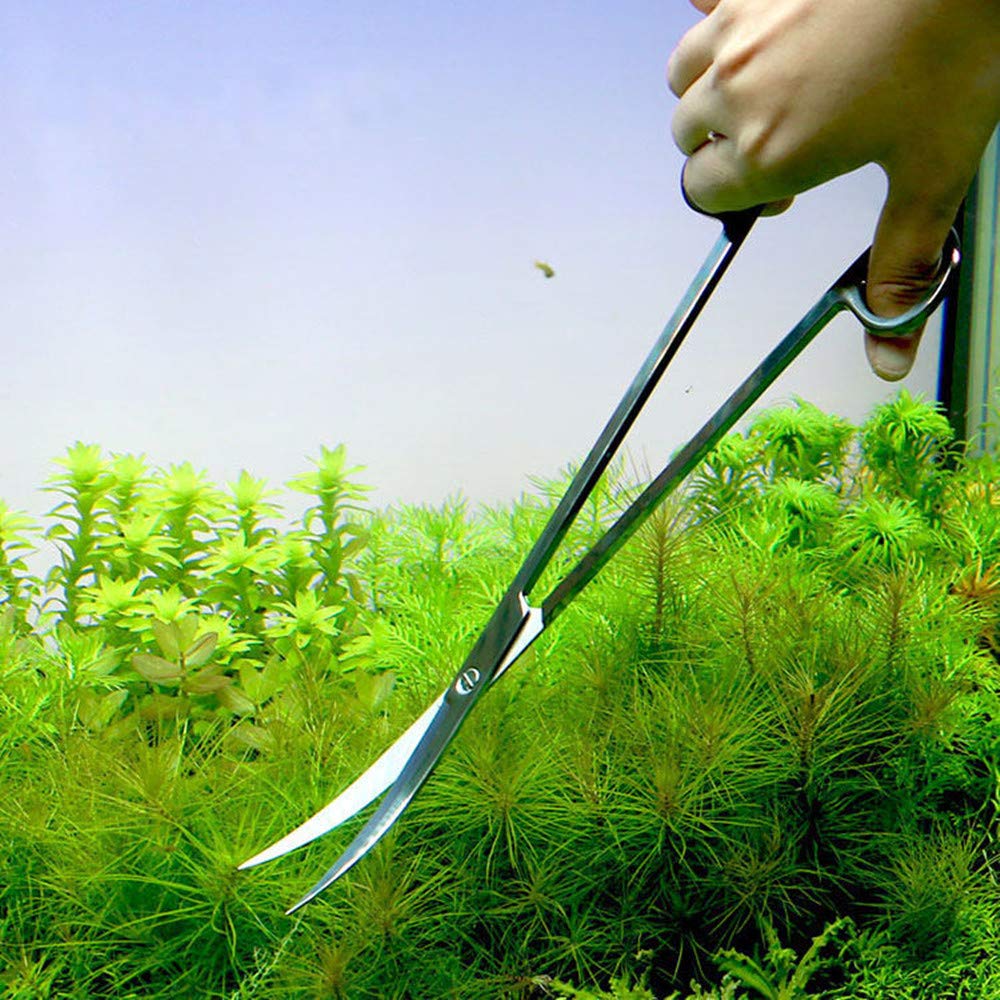 Forbici per piante in acciaio inox a gomito, forbici per acquario, strumento di pulizia per acquari, piante acquatiche