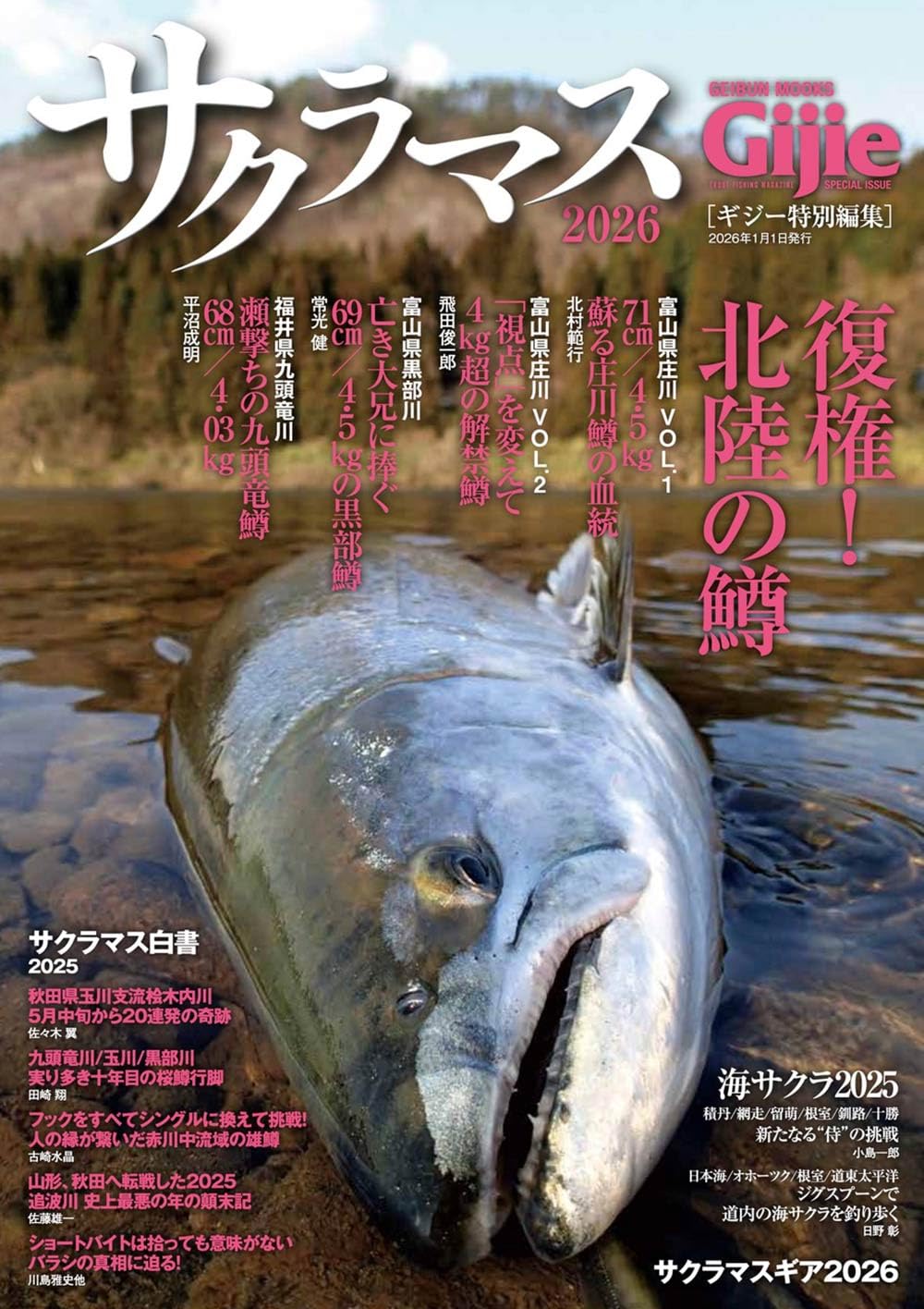 ダイワ シーマ86M CIMA 未使用品　サクラマス　トラウト ダイワ シーマ86M CIMA 未使用品サクラマストラウト