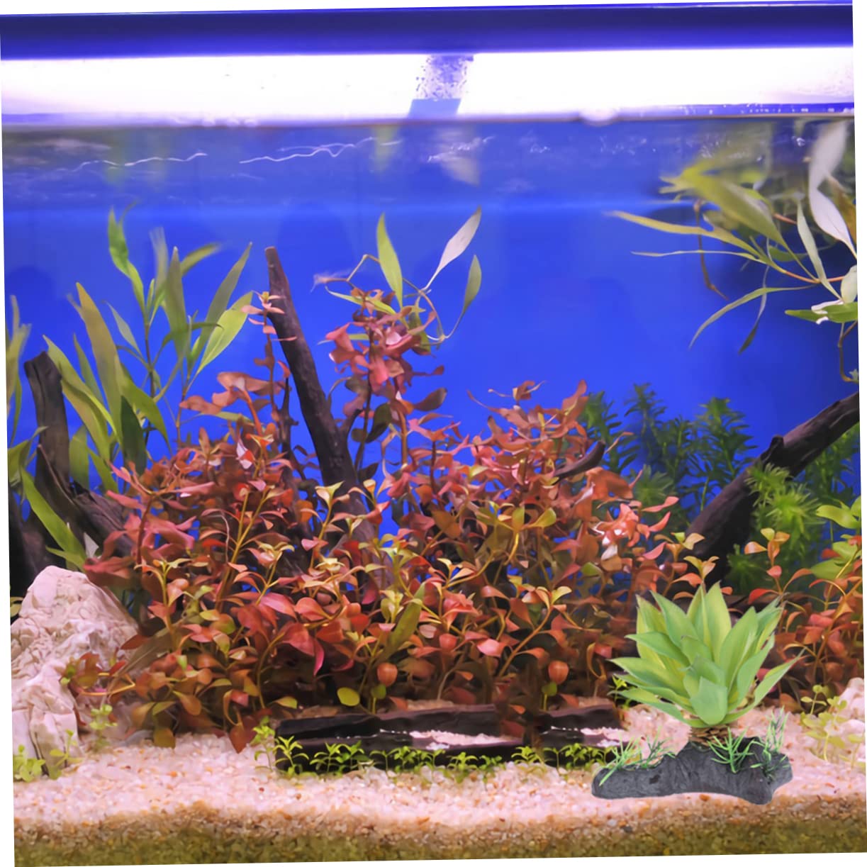 POPETPOP Decoración Pecera 3 Uds Plantas Seguras Tortuga para Peces Decoración Suculentas Terrario Adorno Decoración Hogar Tortuga Lagarto Qlgreen Reptil Tanque Simulado
