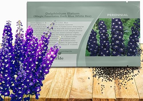 Outsidepride 200 semillas perennes Delphinium Magic Fountain Dark Blue White Bee Garden Flower Seeds para plantar