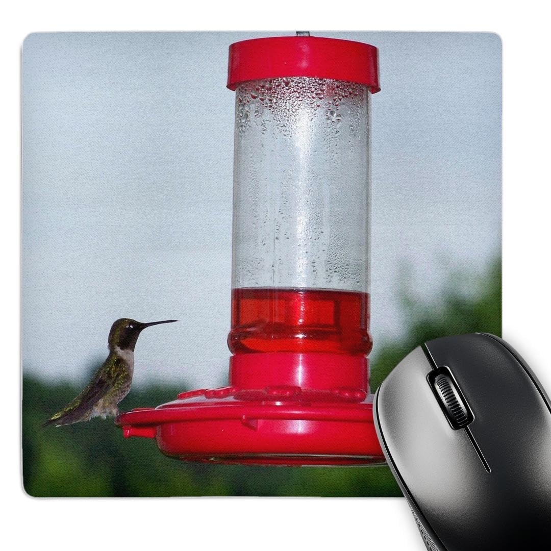 Tapis de souris colibri antidérapant évite les glissements - 8