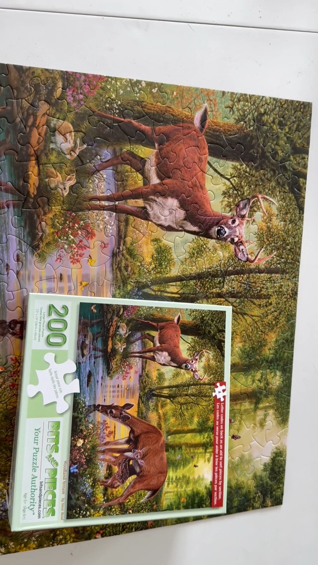 Amazon.com: Bits and Pieces: 200 Piece Puzzles