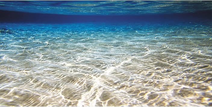 24x12 in Ocean Floor Aquarium Backdrop Underwater Fish Tank Background
