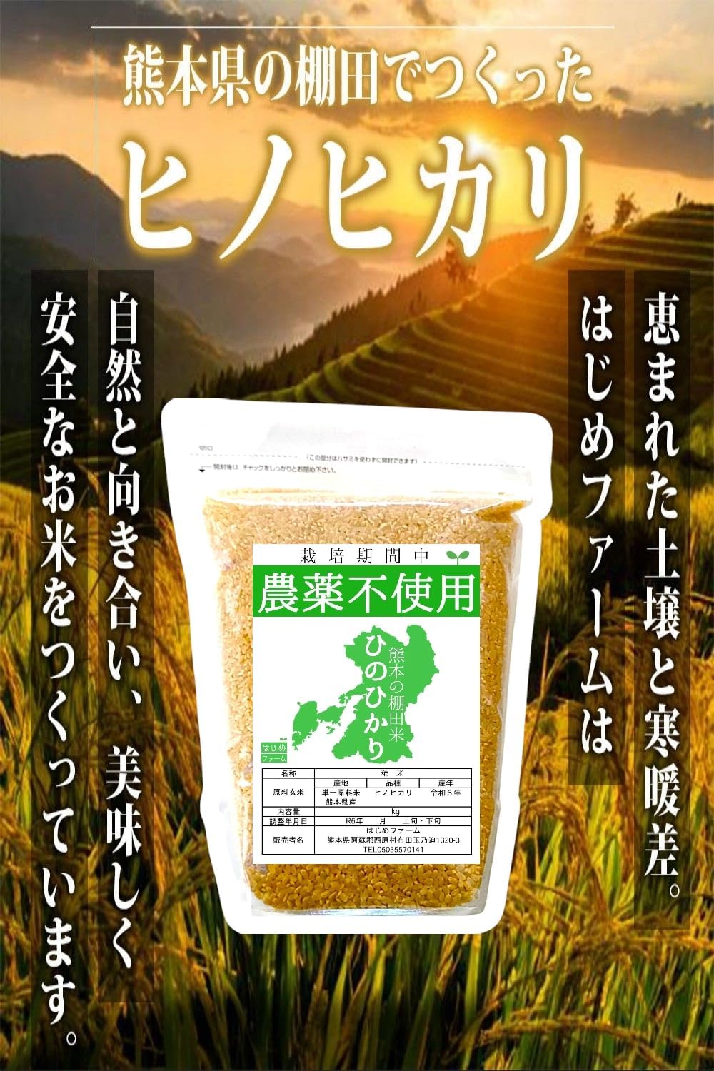 Amazon.co.jp: 無農薬 玄米 1kg ヒノヒカリ 熊本県産 新米 令和6年産 