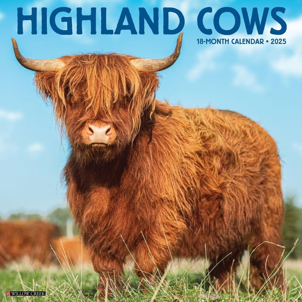 Highland Cows 2025 Wall