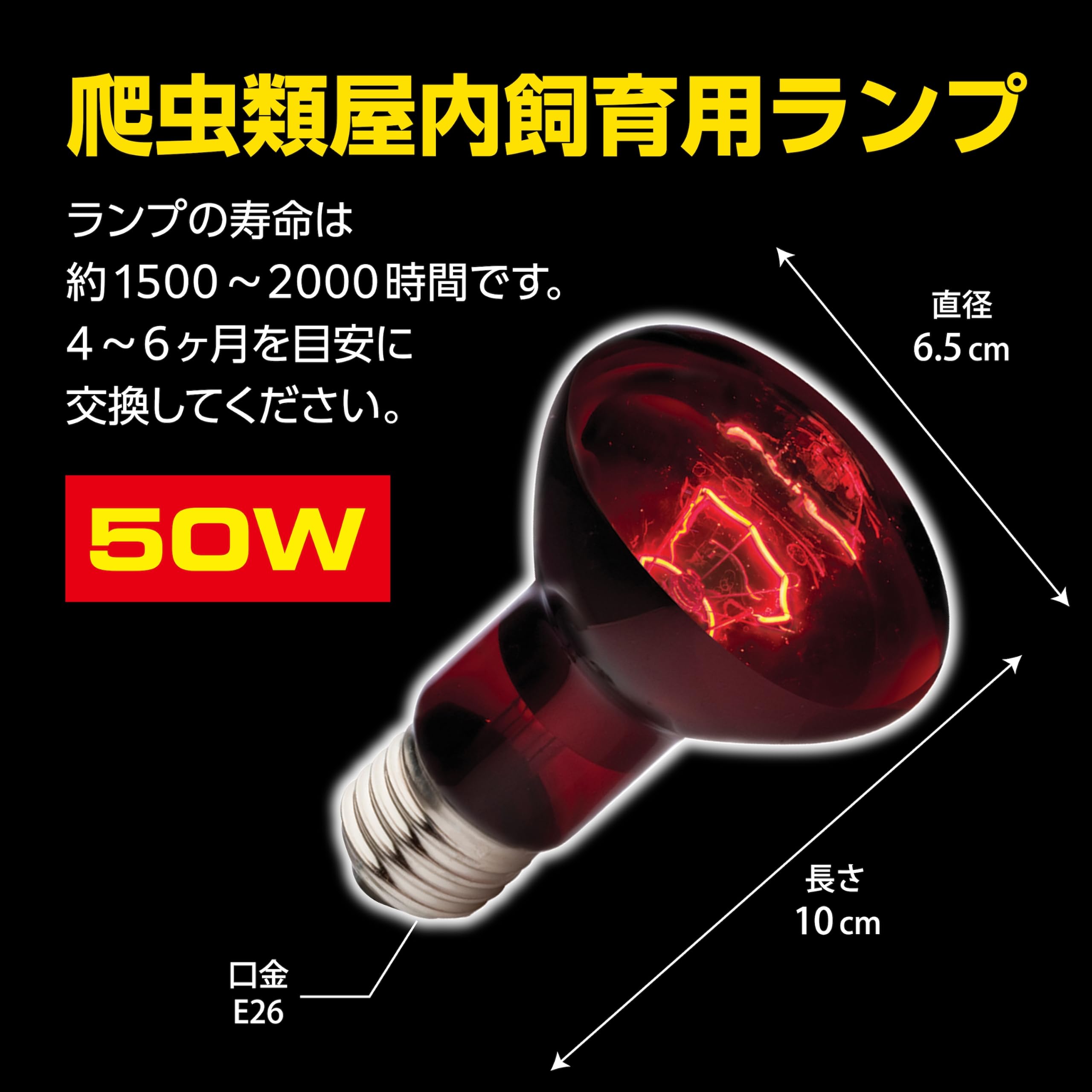Amazon | Gヒートグロー赤外線照射ランプ 50W 8106040 | エキゾテラ