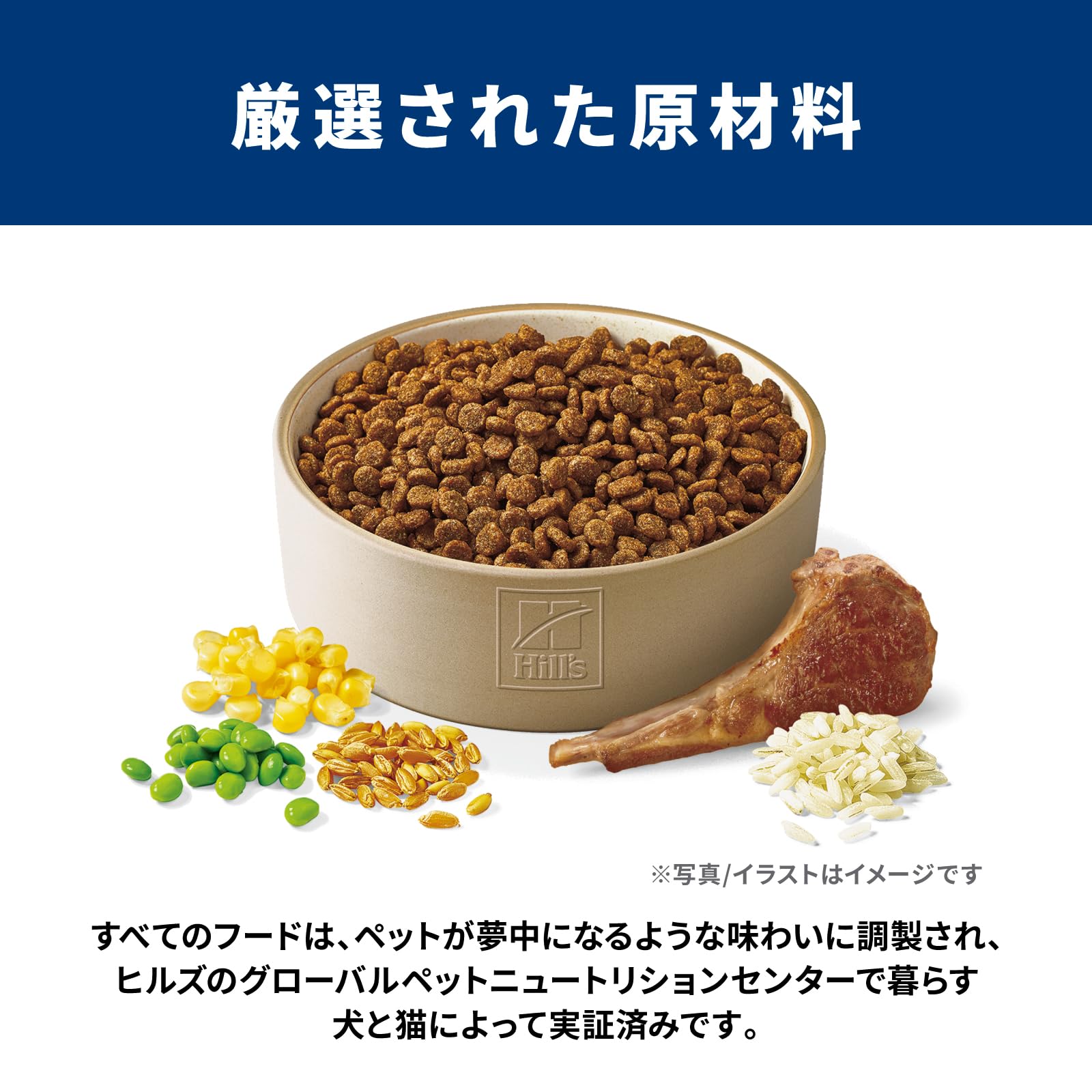 Amazon.co.jp: ヒルズ サイエンス・ダイエット サイエンスダイエット