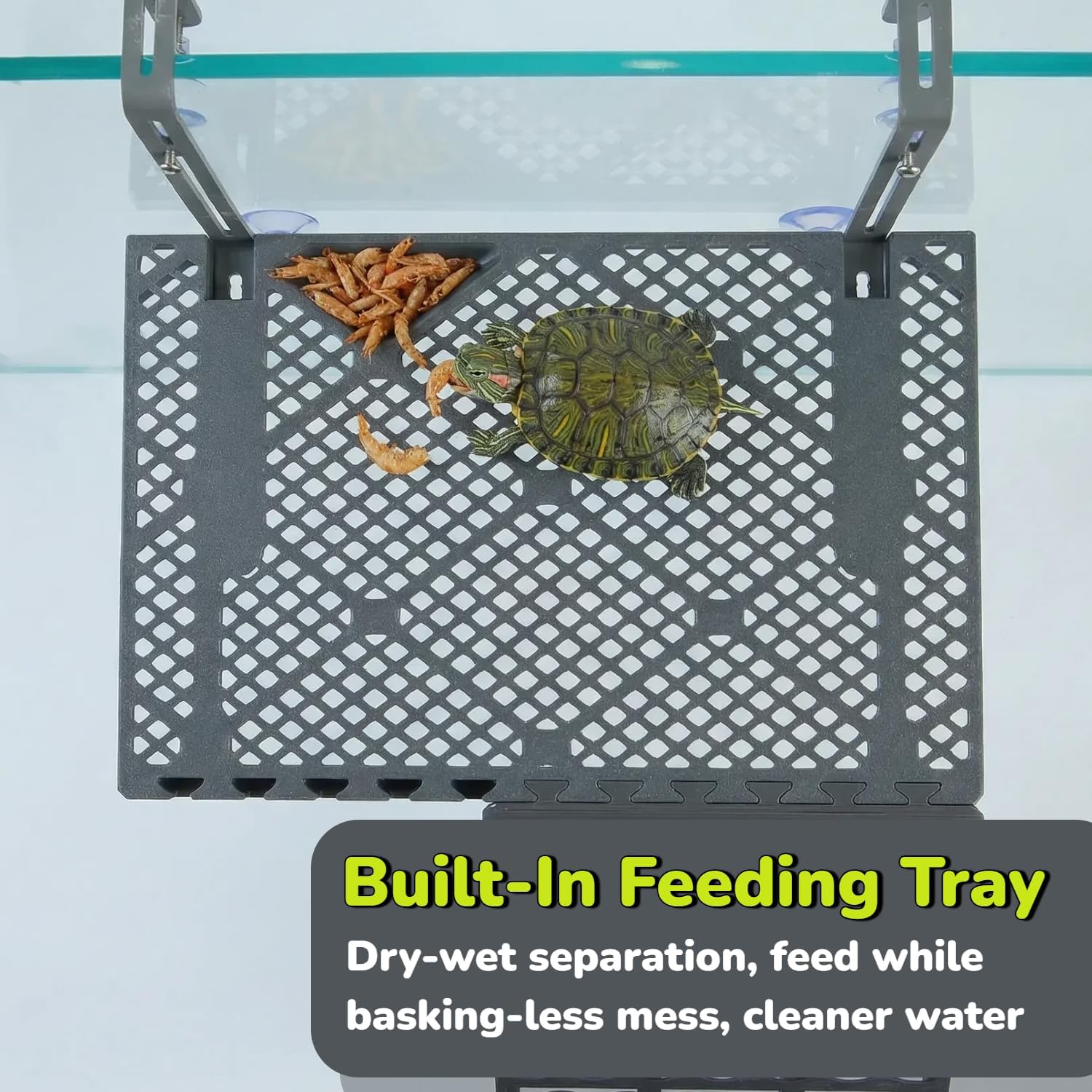 Large SolidForm Hanging Turtle Basking Platform with Built-in Food Tray, Zero Zip-Tied, Non-Slip Ramp Terrace, Resting Turtles Dock, for 50–120 Gallon Aquariums Turtle Turtle Tank Accessories
