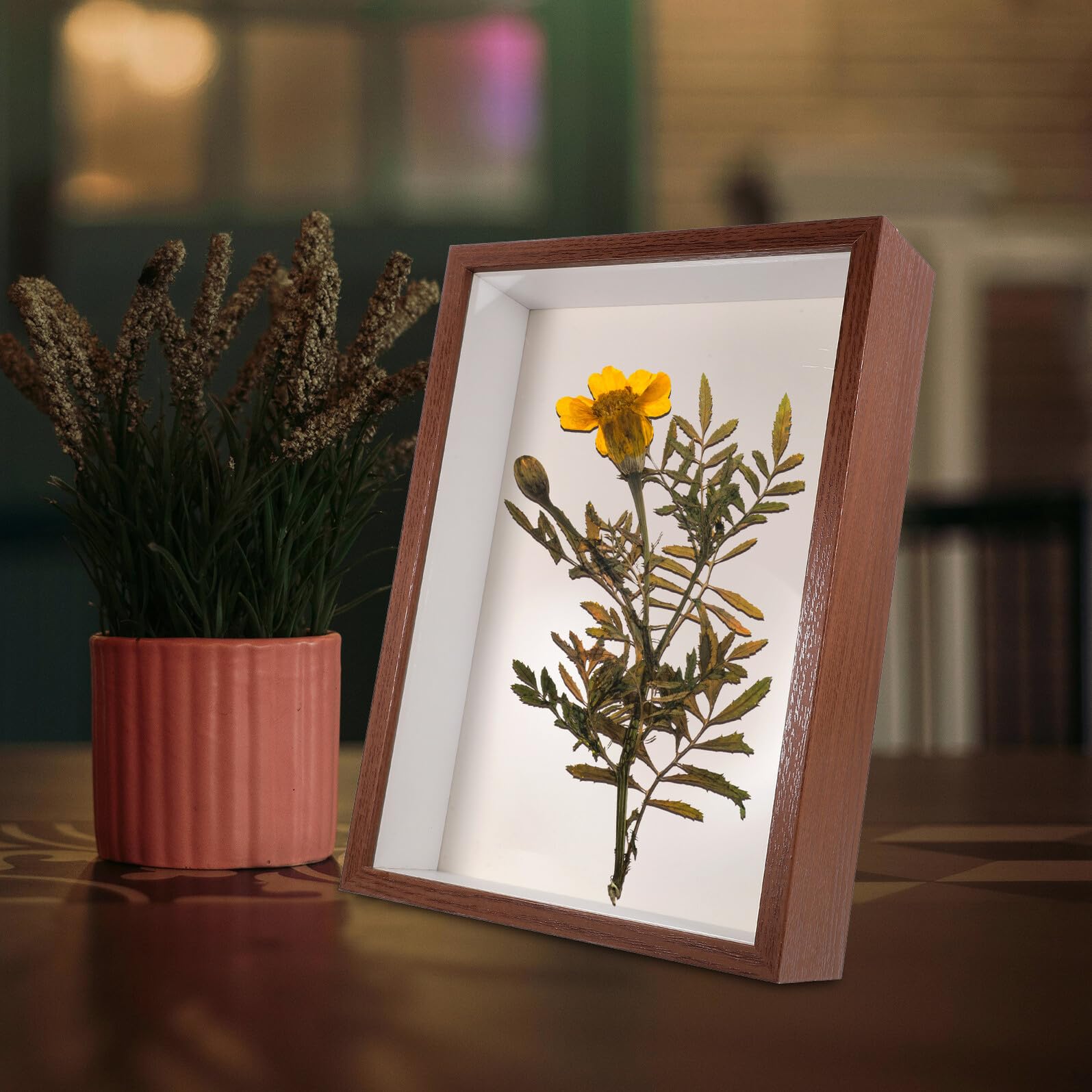 Generico Cornice Espositiva in Legno A4 per Fiori Secchi Vetro Trasparente, Cornice Decorativa Fai da Te per Foto, Vetrina Artistica per Arredamento Casa e Ufficio