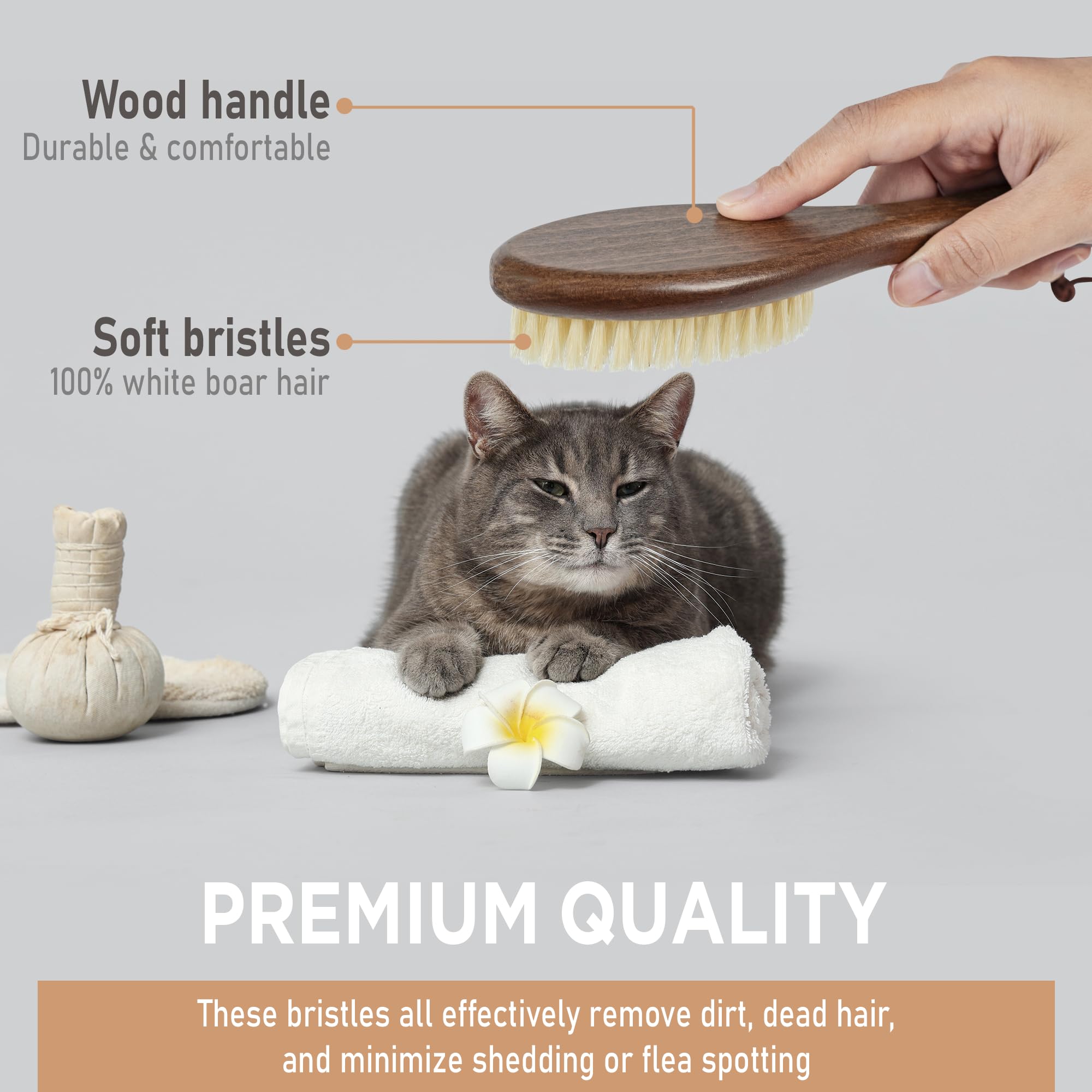 Takavu Spazzola per gatti per spargimento, spazzola delicata con setole di cinghiale bianche naturali e manico in legno per pelli sensibili, accessori per la pulizia degli animali domestici per
