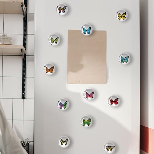 Miniatura 12 de 12 imanes de cristal para nevera, decoración de imanes de nevera de pájaro para manualidades, imanes de nevera fuertes para cocina, escuela