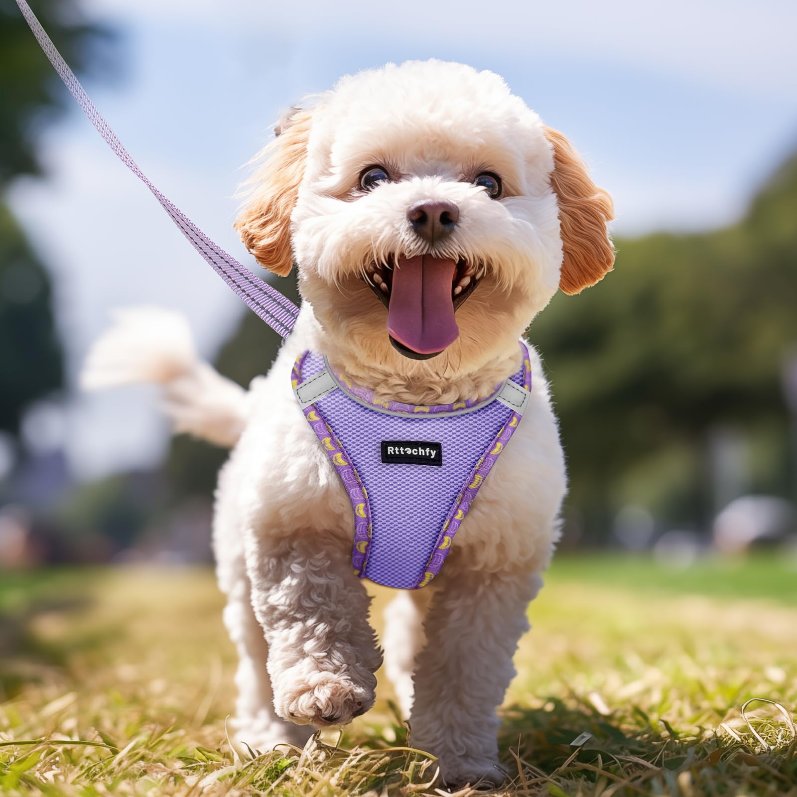 Rttochfy Arnés para perro pequeño, suave y reflectante, arnés y correa para perros de tamaño pequeño, adiestramiento y paseo (morado S)
