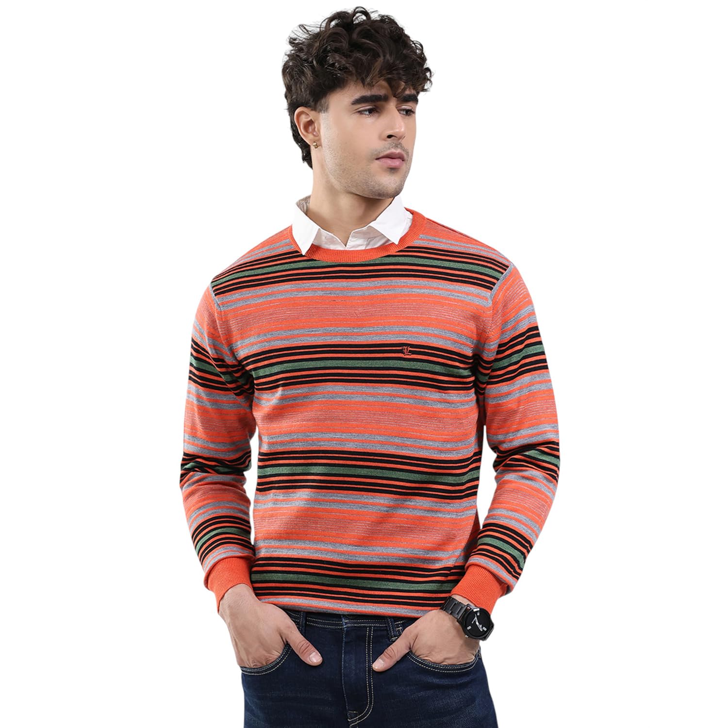 Men Regular Fit Self Designed Pattern Round Neck Pull On Full Sleeve Winter Pullover