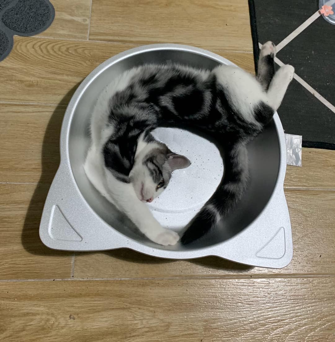 市場 猫 アルミベッド アルミキャットボウル猫用 猫鍋クール クールベッド ひんやりクール 夏用 45cm 38cm 38 Lサイズ45cm Sサイズ 市場 猫 アルミベッド アルミキャットボウル猫用 猫鍋クール クールベッド ひんやりクール 夏用 45cm 38cm 38 Lサイズ45cm Sサイズ