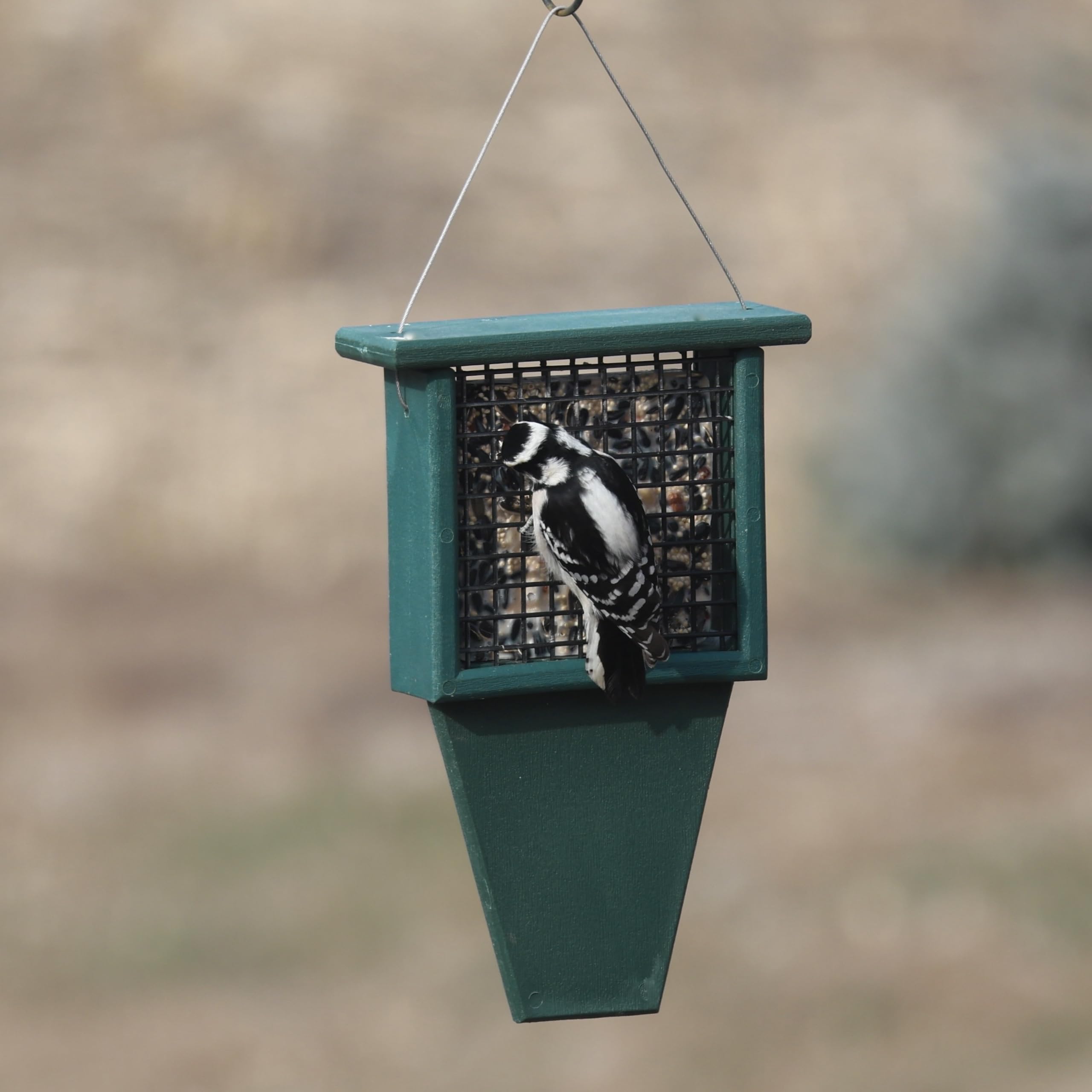 Songbird Essentials SERUBSF100H - Mangiatoia per suet con coda, 29 x 6,3 x 19 cm