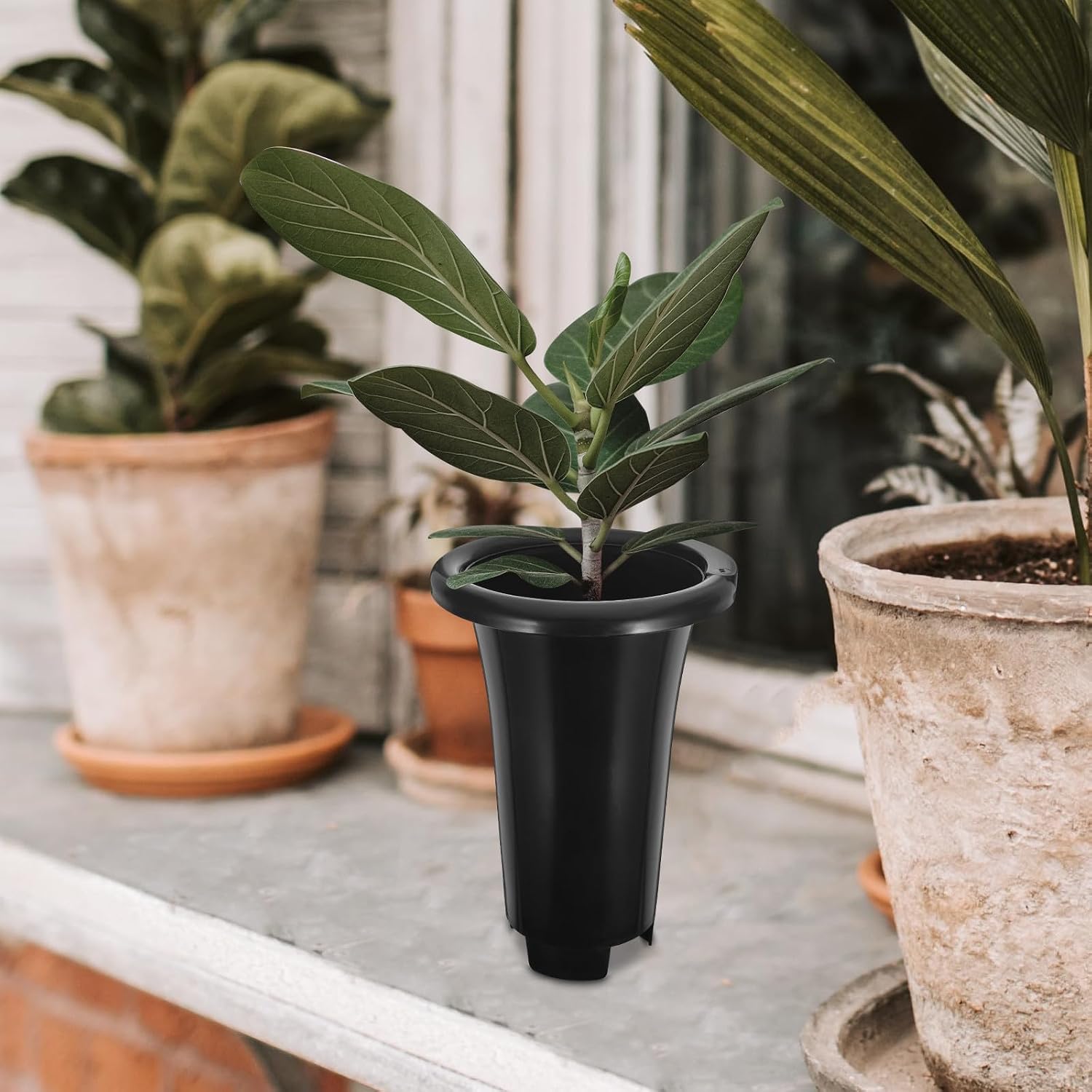 12pcs Black Extra Large Round Orchid Flower Pots Set with Drainage, Breathable Plastic Nursery Containers for Indoor and Outdoor Gardening