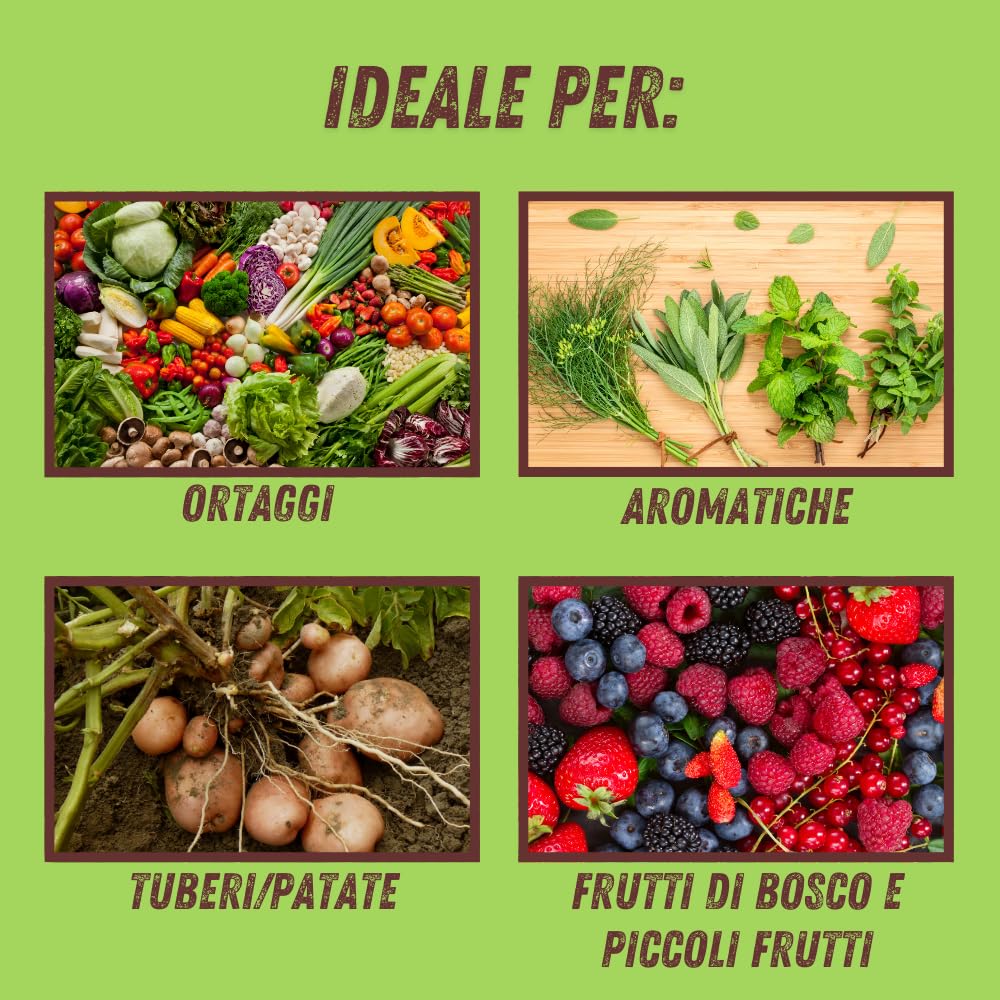 Vithal Expert Fungibio Fungicida Naturale per Tappeti Erbosi, Contro Oidio, Ruggine e Dollar Spot, Elicitorio 1 L
