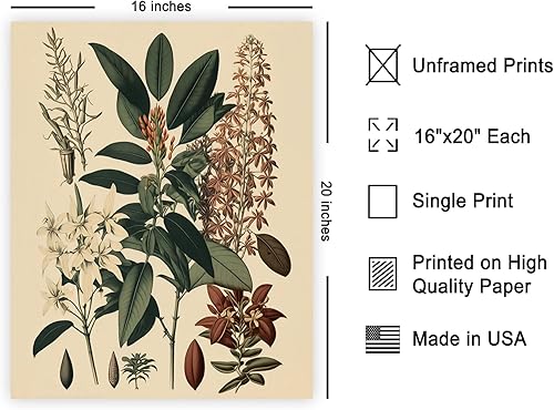 Miniatura 509 de Poster Master Póster vintage de orquídea, estampado de flores retro, arte de pared de plantas exóticas, arte botánico, regalo para hombres y