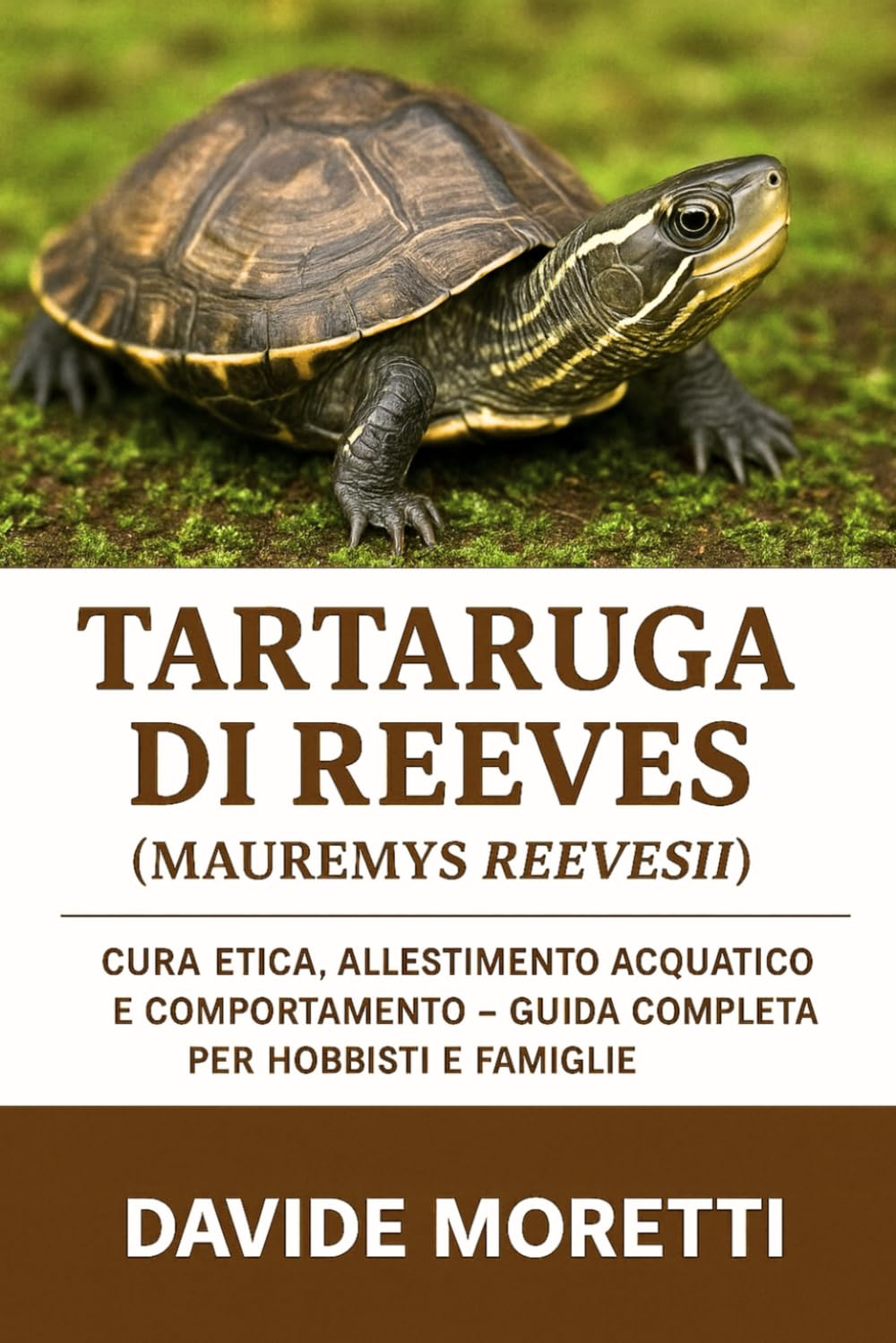 Tartaruga di Reeves (Mauremys reevesii): cura etica, allestimento acquatico e comportamento – guida completa per hobbisti e famiglie