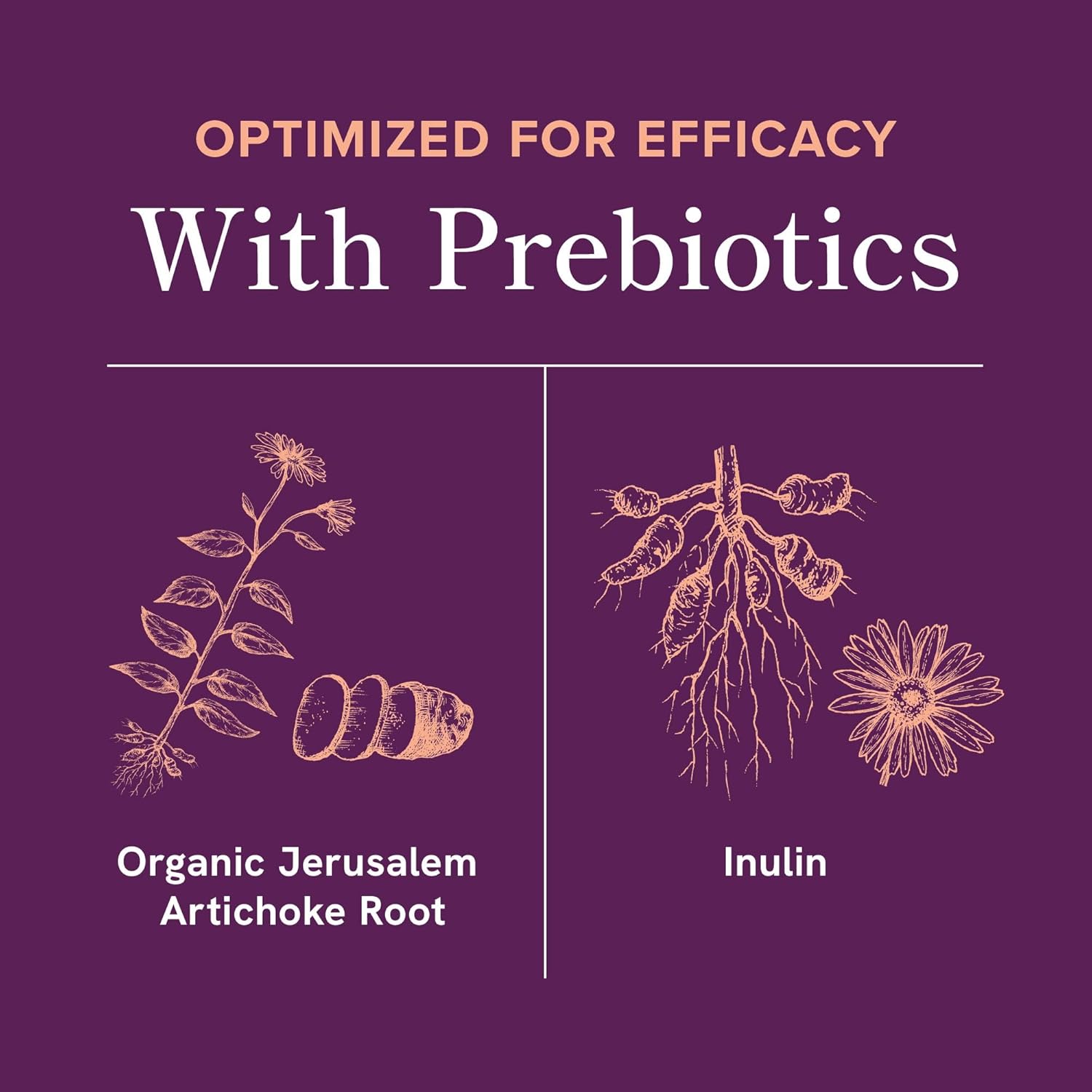 Menopause Support with Prebiotics and Probiotics for Women | Hormone Balance, Hot Flashes & Night Sweats | 50 Billion CFU, DIM & Black Cohosh | Triple Action Menopause Supplements for Women | 30 Ct - Image 7