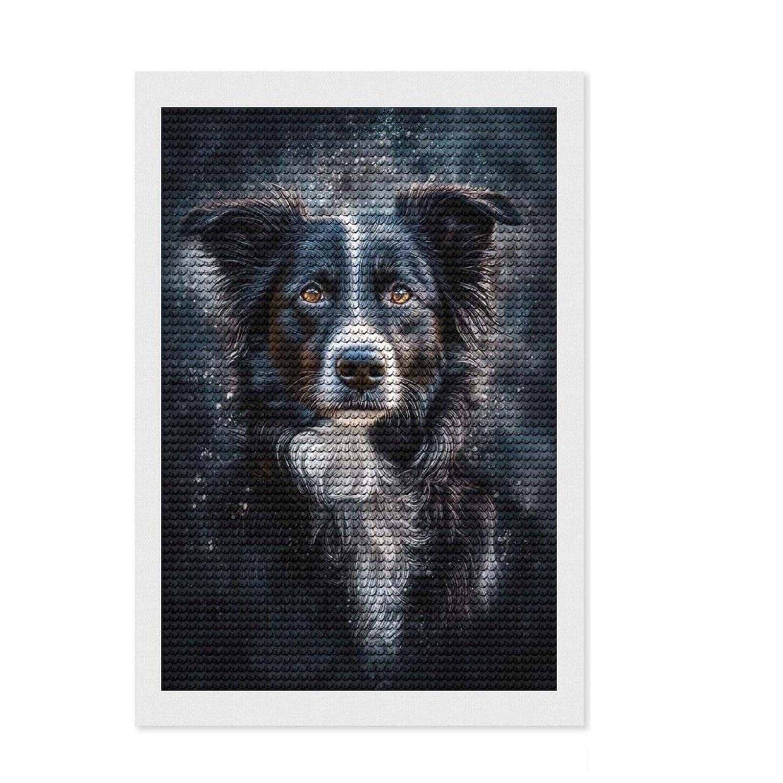 Junmoney Border Collie Portrait Full Drill Diamond Painting Kit 8"x12", Birthday Gift, Vintage Style Decor, Modern Decor, Artistic Hobby