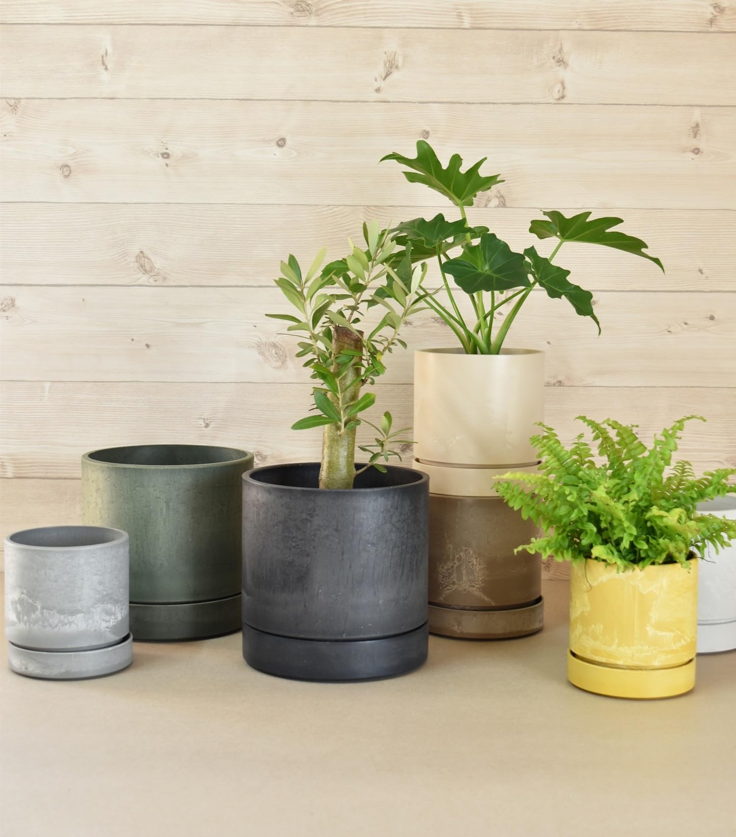 Amazon | LEAD STYLE シリンドゥリカルポット10 トープ LSP-53243