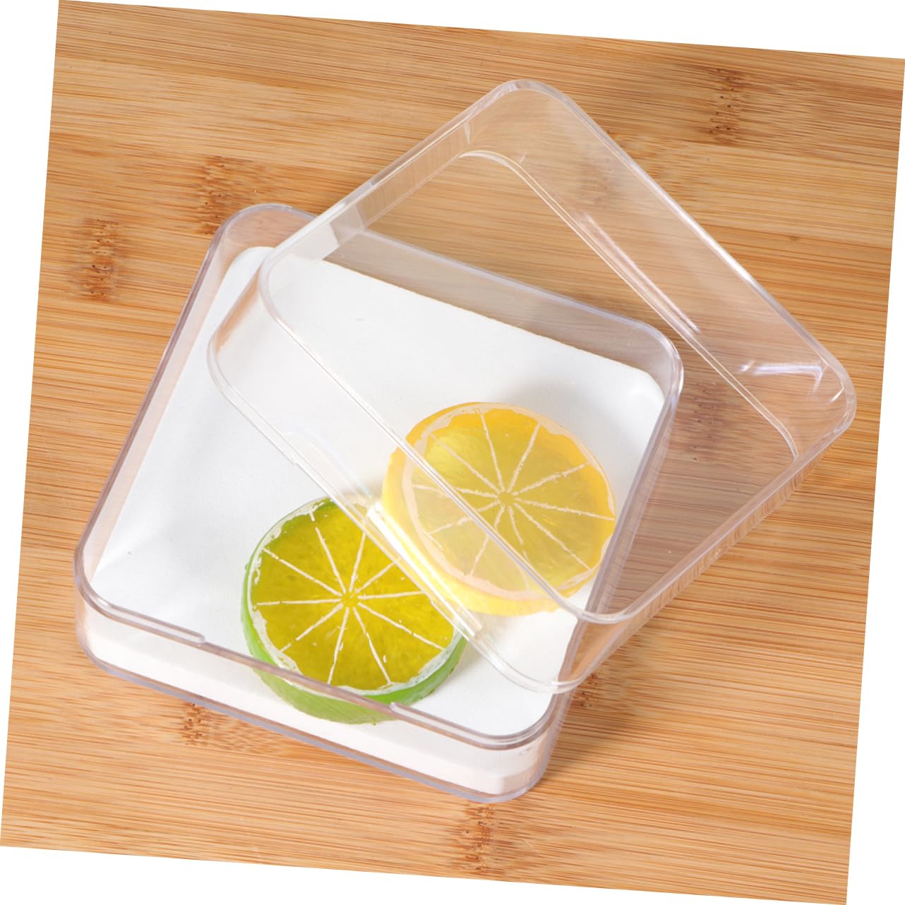 SOLUSTRE Cage À Insectes Transparente Pour Boîte À Spécimens 2 Pièces